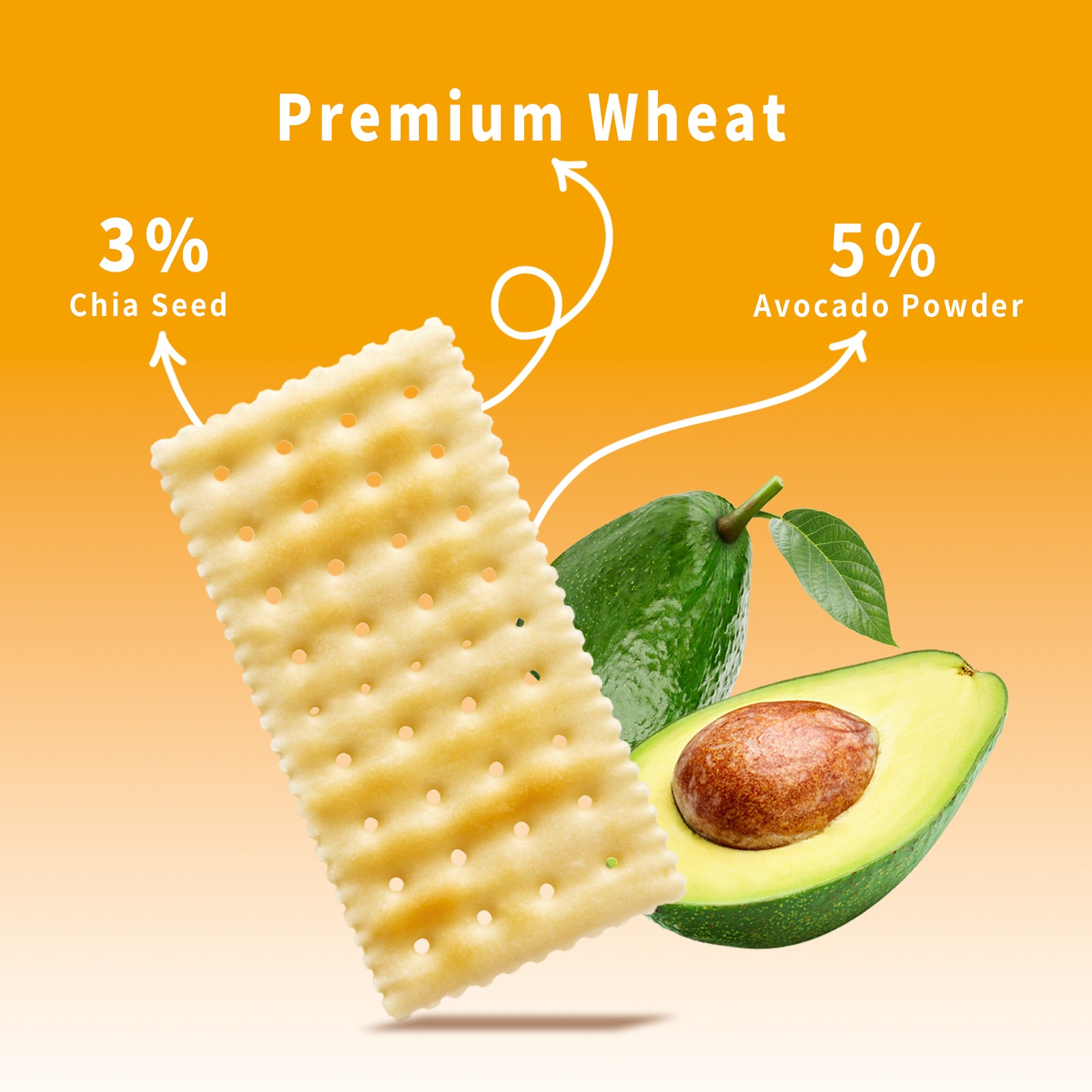 Vlife Avocado & Chia Seeds Soda Crackers
