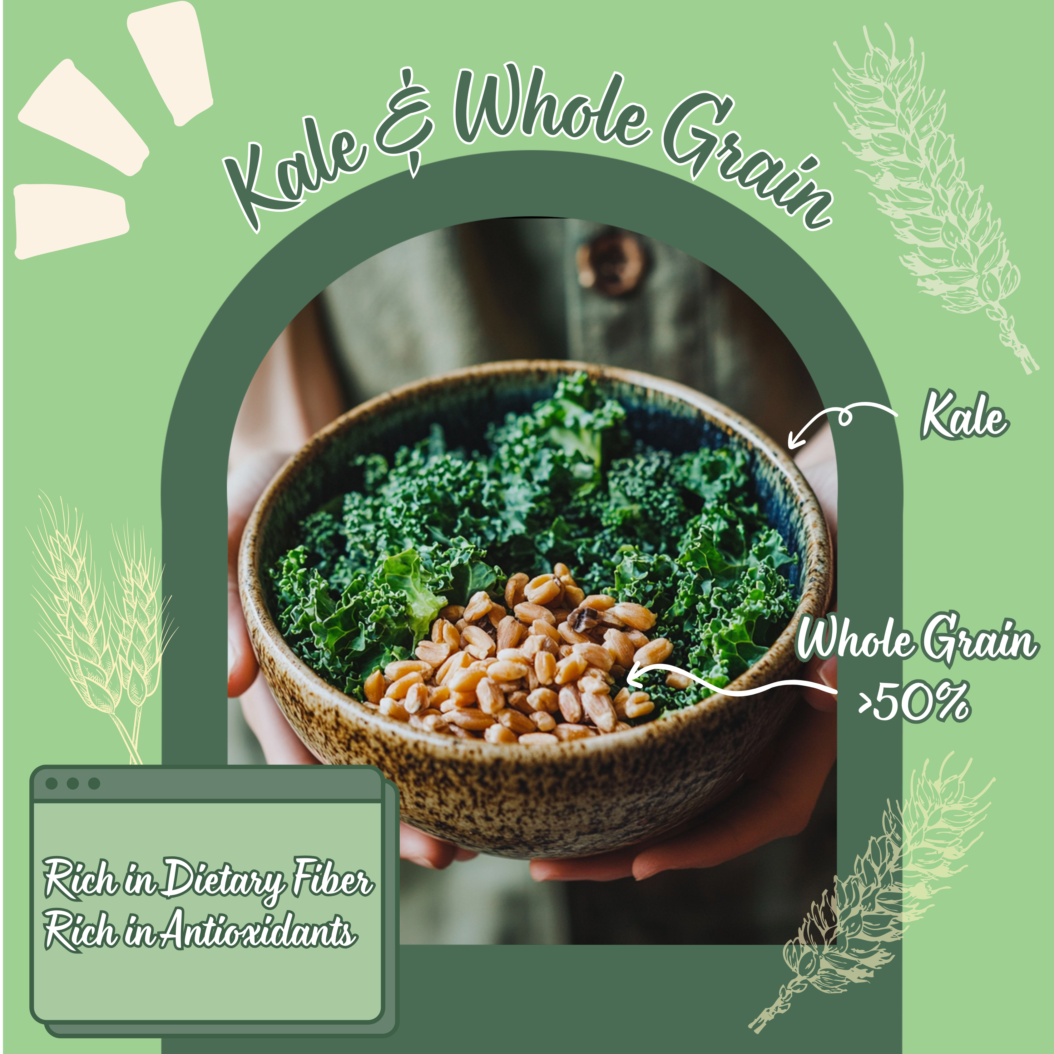 Vlife Kale & Whole Grain Crackers